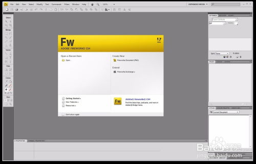 Fireworks菜鸟使用教程 电脑软件设计与开发入门指南